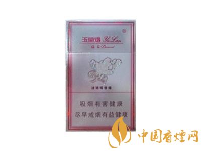 揭秘便宜白沙香烟总仓，价格之谜背后的真实故事